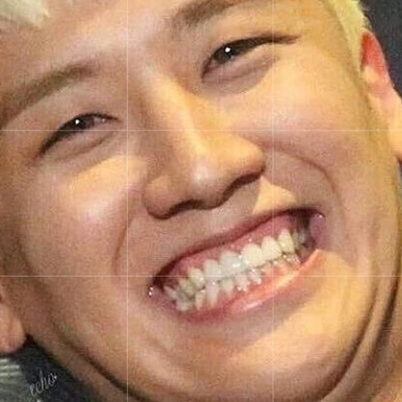 kkkpop_0126's tweet photo. びっぺんさんがBIGBANGと同じくらいだいすきなびっぺんです🧸❤️

す！ん！ぺ！ん！！🐼🐼🐼

 #Twitter上にいるBIGBANGぺん全員と繋がるのが密かな夢だったりするのでとりあえずこれを見たBBペンさんはRTもしくはフォローしていただけると全力でフォローしに行きます https://t.co/9a9nDjplqk