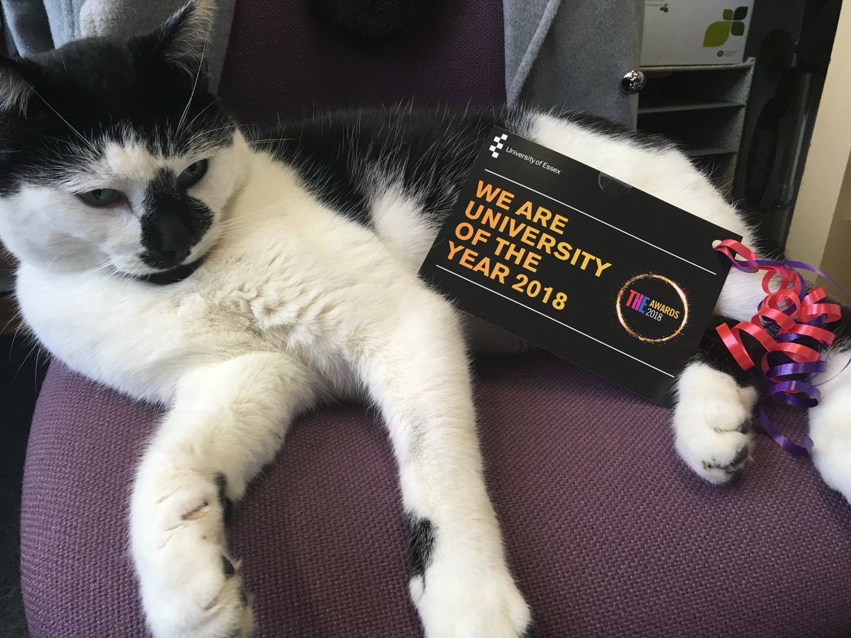 EssexSocSci's tweet photo. We're still celebrating! #universityoftheyear #THEawards #howsocialscience https://t.co/fXYxGBTLU9