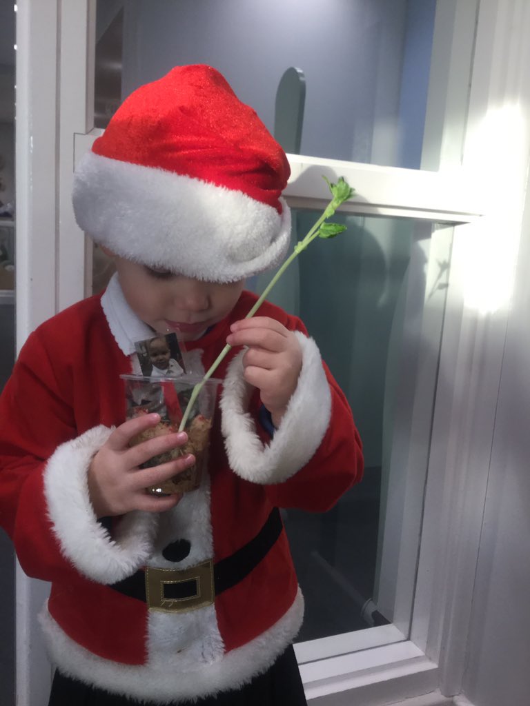 MeerkatsMonkeys's tweet photo. Santa is enjoying watching our beans grow! https://t.co/3iPhfYcA0G