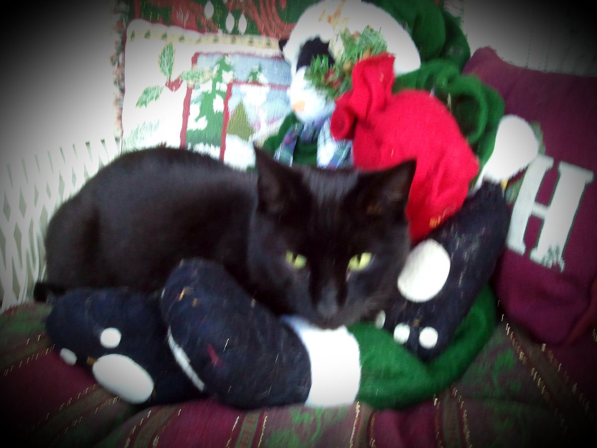 bacrisler's tweet photo. @SouthwestAir #12DaysOfLove #Contest Snickers https://t.co/JUb2O4VXly