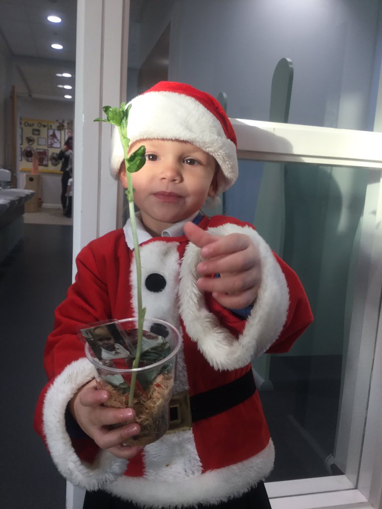 MeerkatsMonkeys's tweet photo. Santa is enjoying watching our beans grow! https://t.co/3iPhfYcA0G