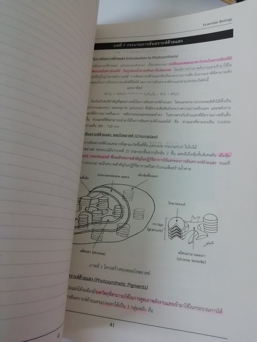 PJMJJPB's tweet photo. ขายหนังสือชีววิทยาเล่มปูค่าา พี่อ่านแค่ครึ่งเล่มเอง ครึ่งหลังว่างขาดสะอาดมักมากเลย ราคาเล่มละ 230 น๊าา ค่าส่งems 50 ค่าา #หนังสือเตรียมสอบมือสอง #หนังสือมือสองสภาพดี #หนังสือมือสอง #หนังสือมือ2 #หนังสือชีววิทยา #รีวิวหนังสือ #หนังสือน่าอ่าน #หนังสือเรียน #หนังสือดีๆ https://t.co/CCrii7p4AT