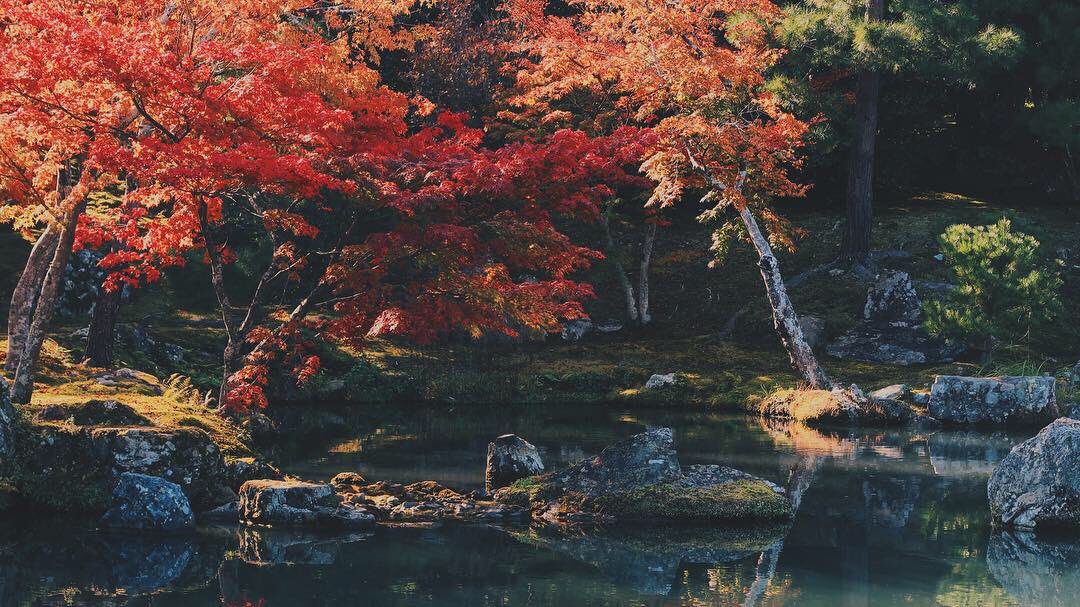 FainTzOG's tweet photo. Arashiyama, Kyoto, Japan https://t.co/jENWCKISeU