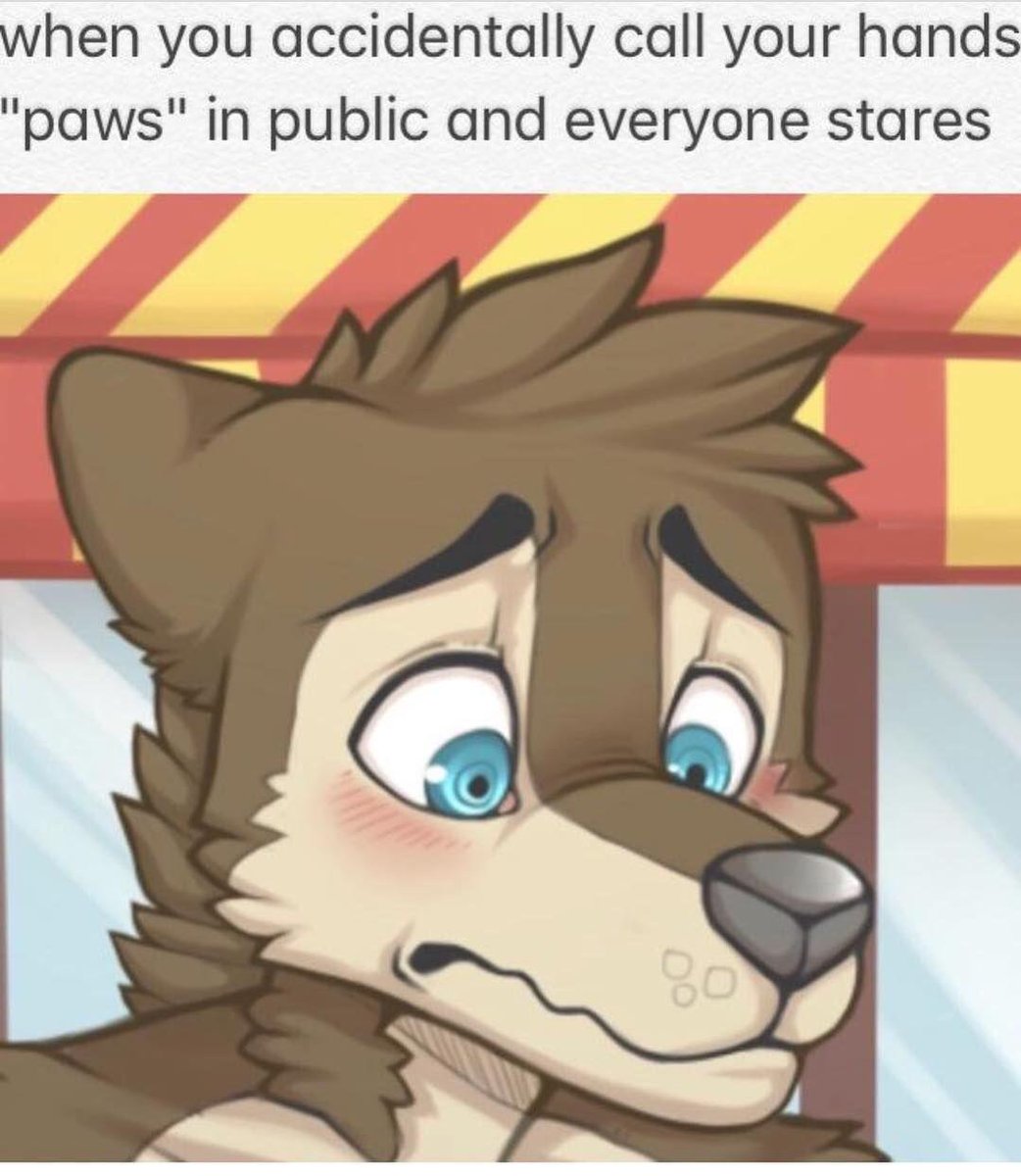 furry_irl's tweet photo. Comedycemetery_irl

Source: https://t.co/JZT1ZW3ZHs by /u/GlitteringAction https://t.co/xqheJviz0Y