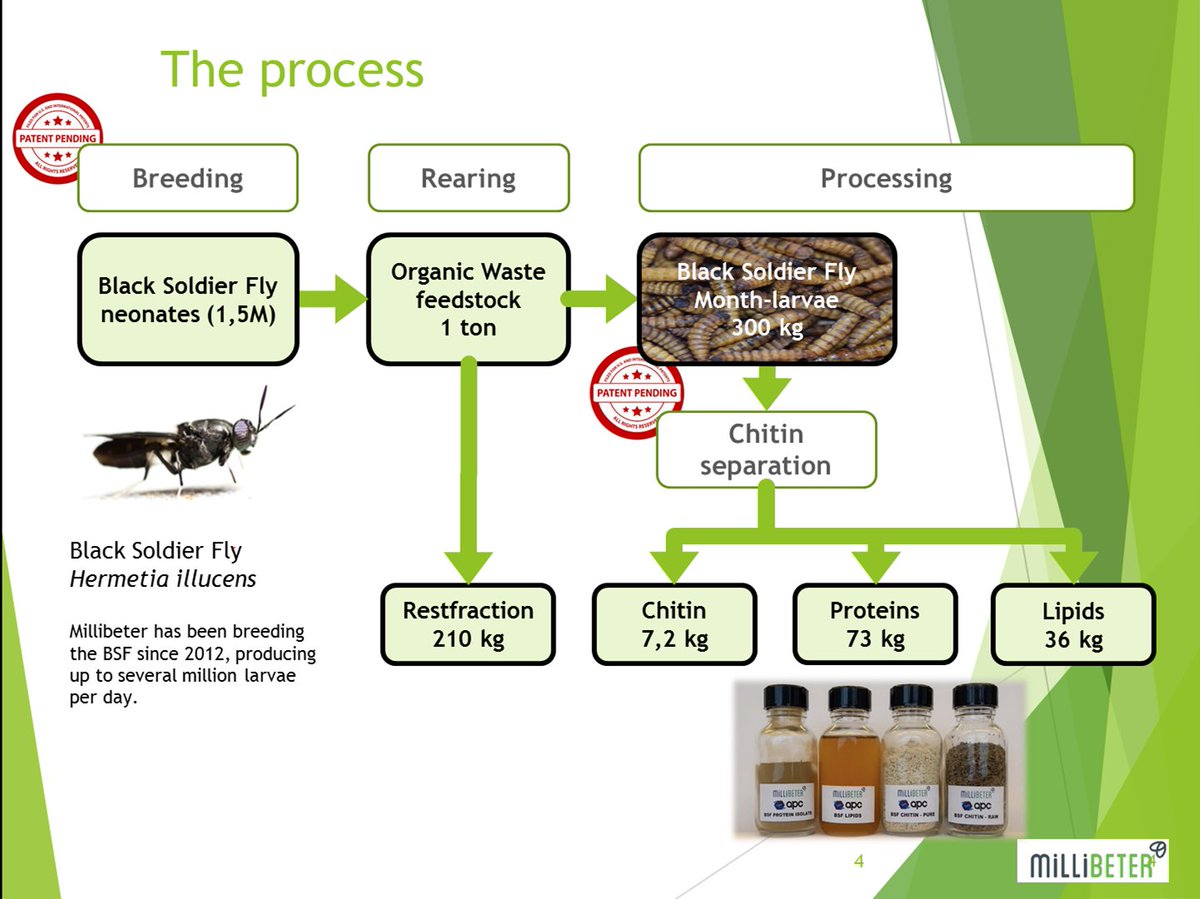 Jarkko_Niemi's tweet photo. Black soldier fly can be used to produce various products. Automated bioconversion reactor is an interesting approach when considering large-scale production. Nouchka De Craene of Millibeter presenting at #NJF #ENTOLAB seminar on #insects for #food #feed and #circular economy. https://t.co/fGp4Kx44y9