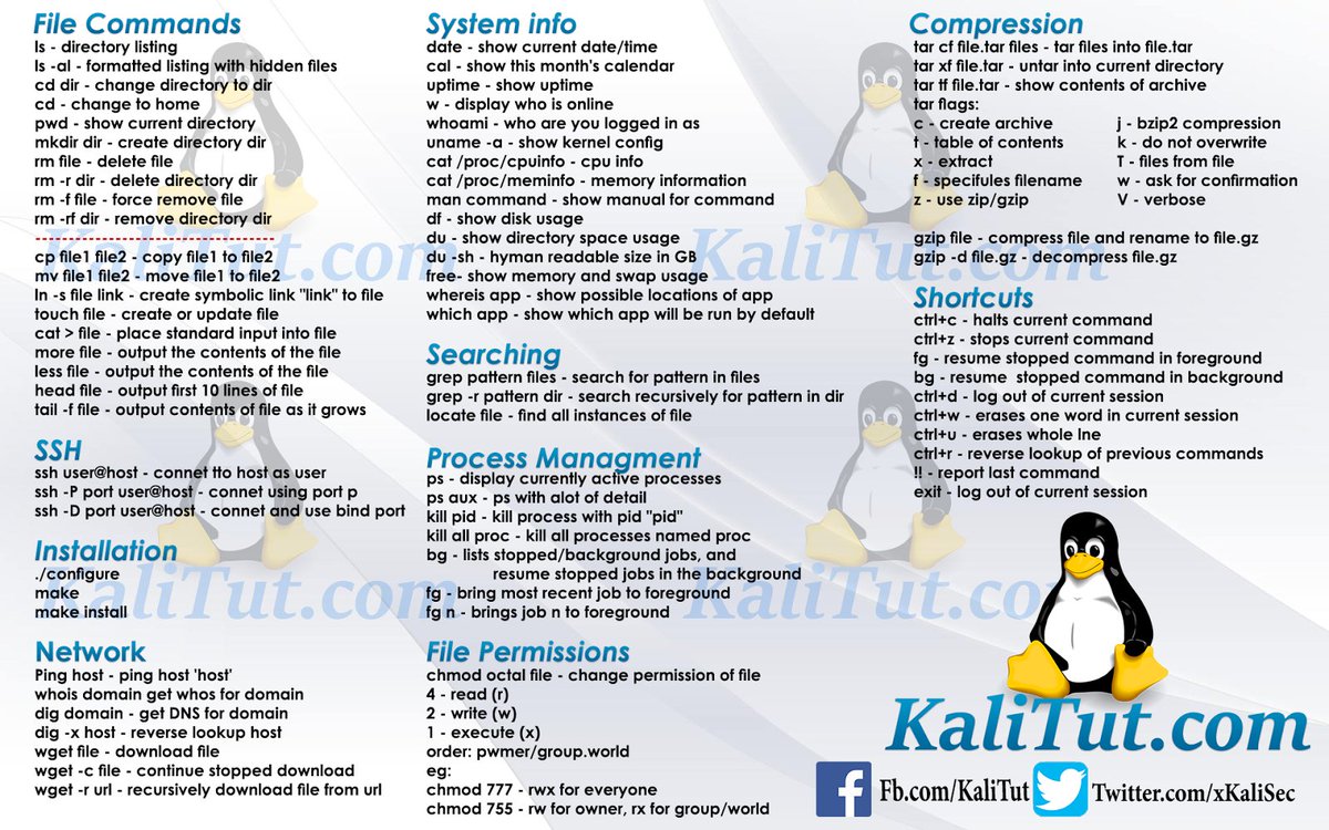 aeliavision's tweet photo. The most essential Linux commands
https://t.co/YU5RoStu4H https://t.co/BunDr07njt