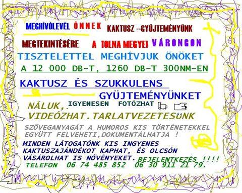 MakraHegyi's tweet photo. KÁLA VIRÁGAIM IJRA  NYILMAK  ÉS, ILLATOSAN VIRITANAK,  MÉG  VAN  BELŐLE  NÉHÁNY  SZAPORULAT  ... KÜLDÖM  HA  KÉRITEK.. .. BŐVEBBET  .. TELIHOLDNAPPAL44@CITROMAIL.HU.. VAGY EGYÉB ELÉRHETŐSÉGINKEN .. https://t.co/KIXmwbnmbp