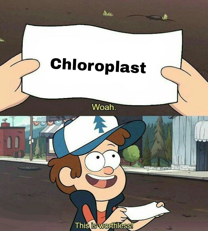 mitochondriamc1's tweet photo. To chloroplast, From animal cells #organellewars @HApbio https://t.co/9Uuf3Hx08S