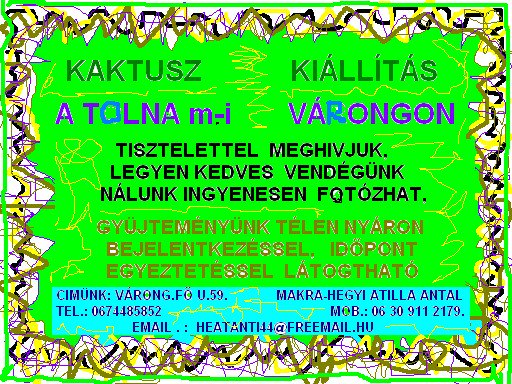 MakraHegyi's tweet photo. KAKTUSZGYÜJTEMÉNYÜNK LÁTOGATHATÓ, UJ RENDEZÉSBEN,  FÜTÖTT  LÁTOGATÓTÉR, 12000DB, 1200 TYPUS,  400M2 HATALMAS NÖVÉNYHÁZBAN ... INGYENESEN FOTÓZHAT, NÖVÉNY AJÁNDÉK,  , VÁSÁRLÁS A BOLTI ÁRAK FELÉÉRT ..SŐT  A TELJES  GYÜLTEMÉNY IS ÁTVEHETŐ,  SZINTE INGYEN .. ... https://t.co/oNTuWElX9G