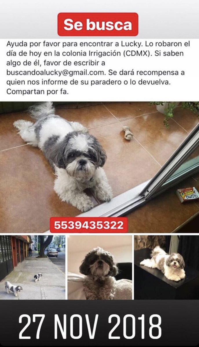_elan_'s tweet photo. Por favor RT 🙏🏼😪 https://t.co/asLspp42tP