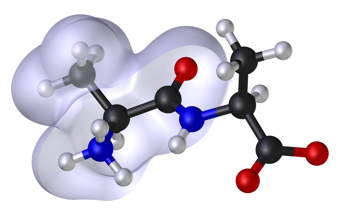 OrbitDiscovery's tweet photo. #PeptideChemists, we want you! We are now hiring #Scientists and #ResearchAssistants. Check out https://t.co/v9k2sYtnJ0 and https://t.co/nq6h00w0FG for the exact job descriptions and perhaps you are working with Oxford's most innovative #PeptideDisplay company in 2019. https://t.co/h1CYPF82Xr