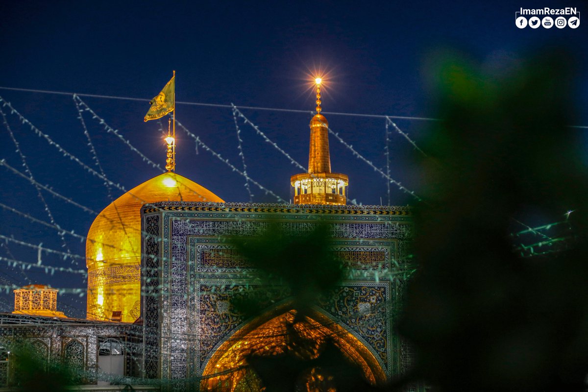 Imam Reza (AS) said, 'Brushing one's teeth brightens the eyesight, increases hair growth, and removes the tendency for frequent weeping.’

[Bihar al-Anwar, p. 137, no. 48]

#ImamReza
#Hadith
#IslamicLifeStyle