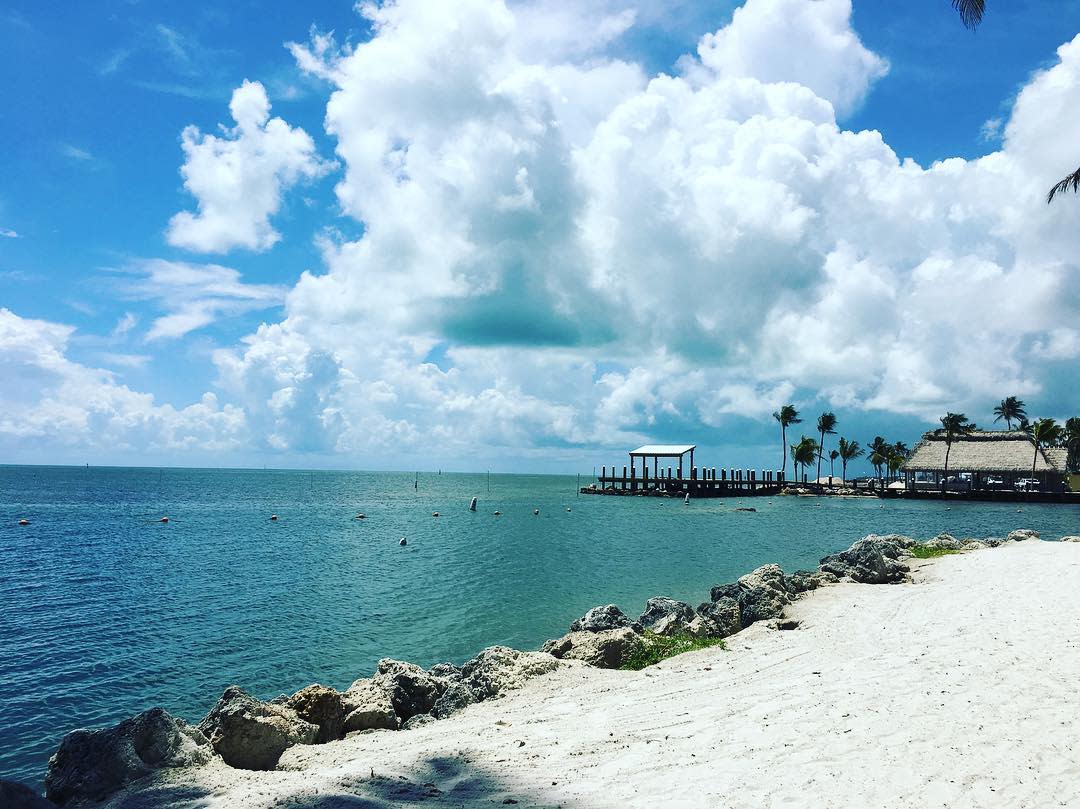 Oh the weather outside is...delightful. 🎶 #pcovemoments
📷: <a href="/bibigator/">dory</a>