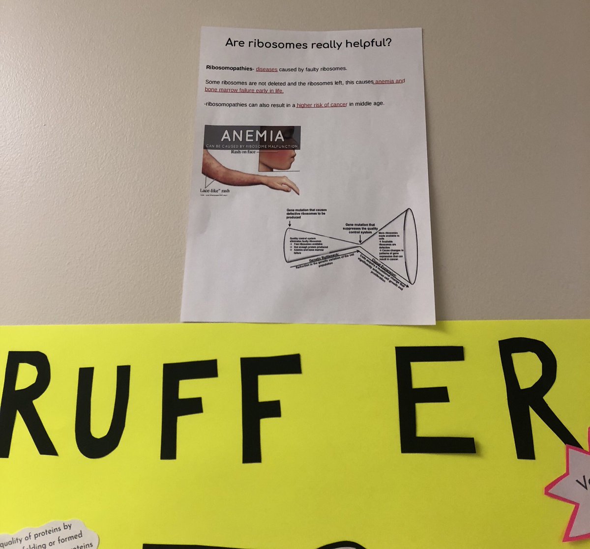 RicoRibosome1's tweet photo. You do realize that the Rough Er is covered in ribosomes, right??😳 #organellewars @RuffER2018 @ApHoopes https://t.co/Hlfjf6hK1T