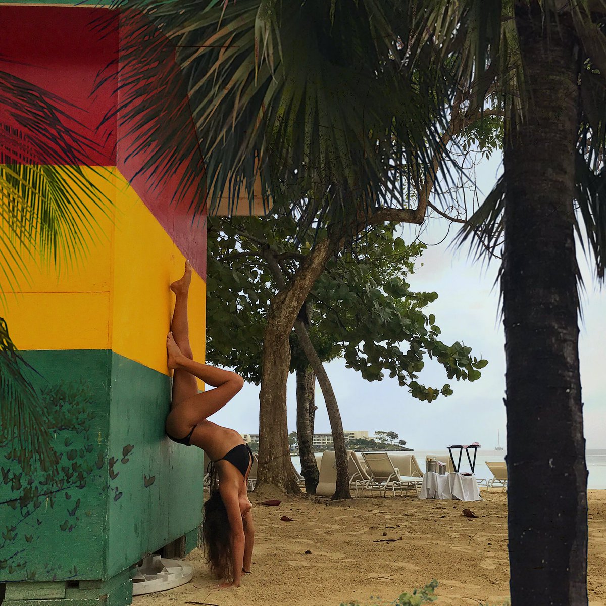 Lindsay Eskildsen tweet media