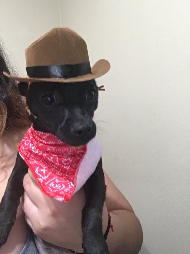 Pwerritos's tweet photo. Zi señor io soy d rancho https://t.co/GOTGspLJIz