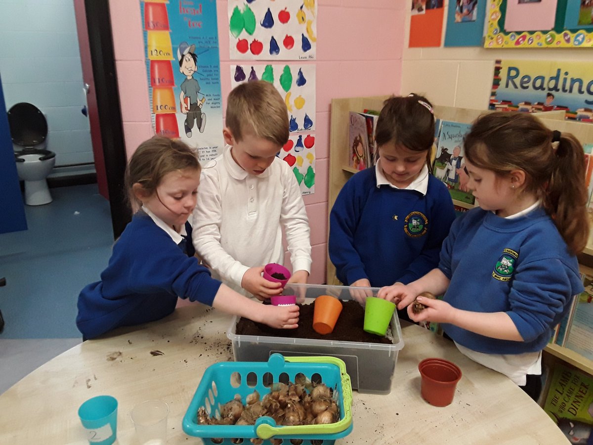 stmarysttown's tweet photo. Junior Infants planting buds this afternoon. 🌻 https://t.co/8Rx8exPXcZ