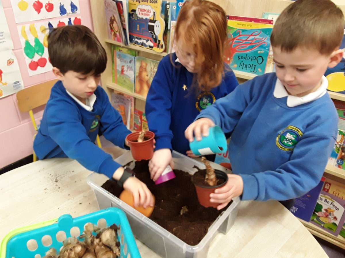 stmarysttown's tweet photo. Junior Infants planting buds this afternoon. 🌻 https://t.co/8Rx8exPXcZ
