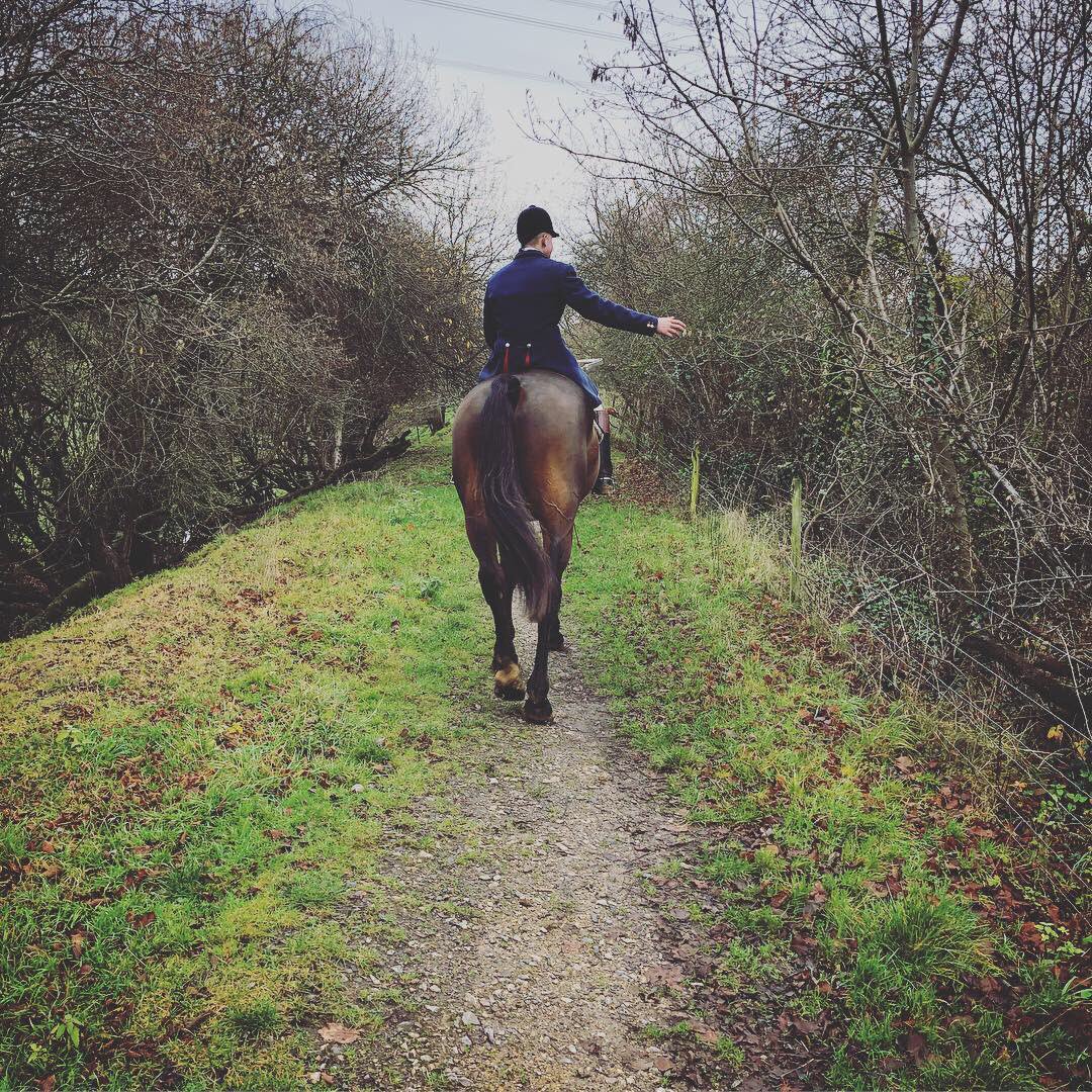 CollinsNets's tweet photo. Cracking walk up the old railway line & out to work @CollinsNets 🐴👌🐕
#Horses #Hounds #Horseandhounds #hunt #draghunt #dorset #countrylife #lovedorset https://t.co/458syJcZxA