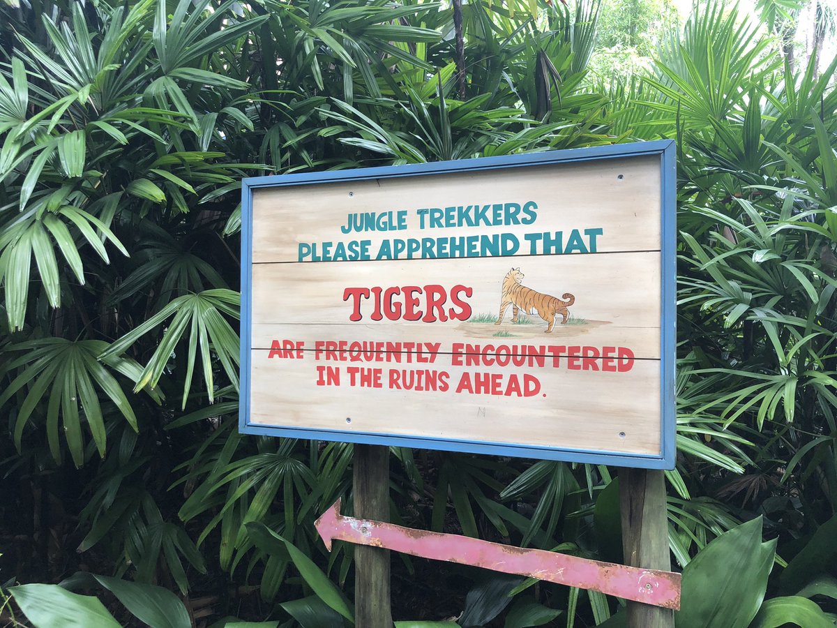 DaddyDoesDisney's tweet photo. Shit’s ‘bout to get real. #JungleTrek #DisneysAnimalKingdom #DisTwitsDoDisney https://t.co/hDCICyCVOk