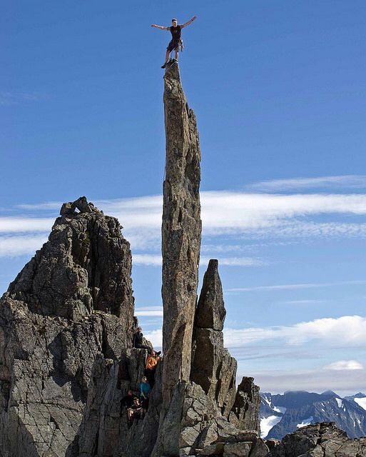 David Hinton tweet media