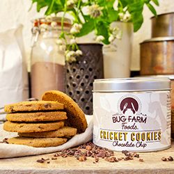 Food Matters Live tweet media