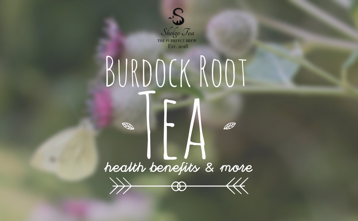 ShelgoTea's tweet photo. Love the taste of burdock? Read about burdock root tea benefits at https://t.co/c21RPTltaT
#shelgotea #thepurrfectbrew #burdockroot #burdockroottea #benefits #herbaltea #organictea https://t.co/lsT0i87S05