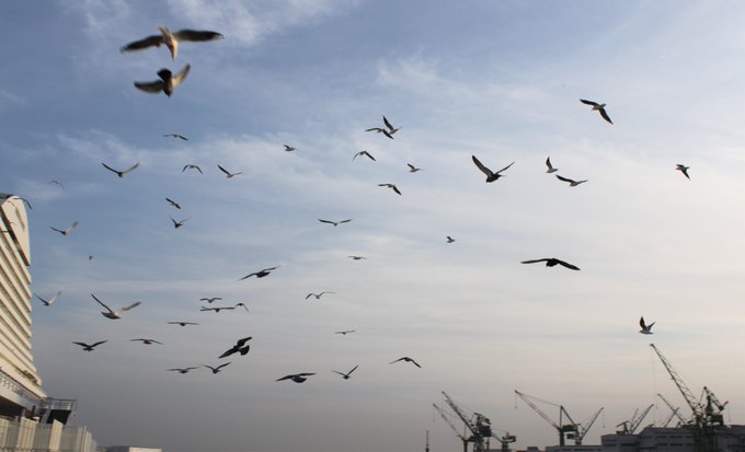 Twitterのコスプレ画像23