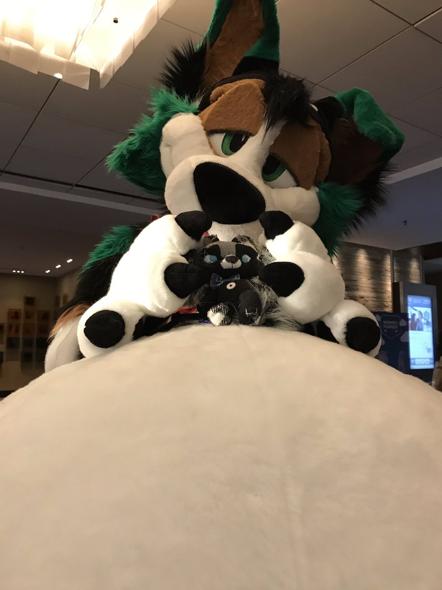MADSHYARTS's tweet photo. #mylilsmudge got to take photos with some cuties at #mff18  #buttonpup https://t.co/XhkNiHS0xg