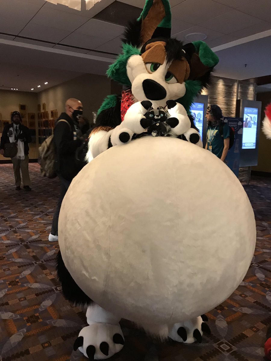 MADSHYARTS's tweet photo. #mylilsmudge got to take photos with some cuties at #mff18  #buttonpup https://t.co/XhkNiHS0xg