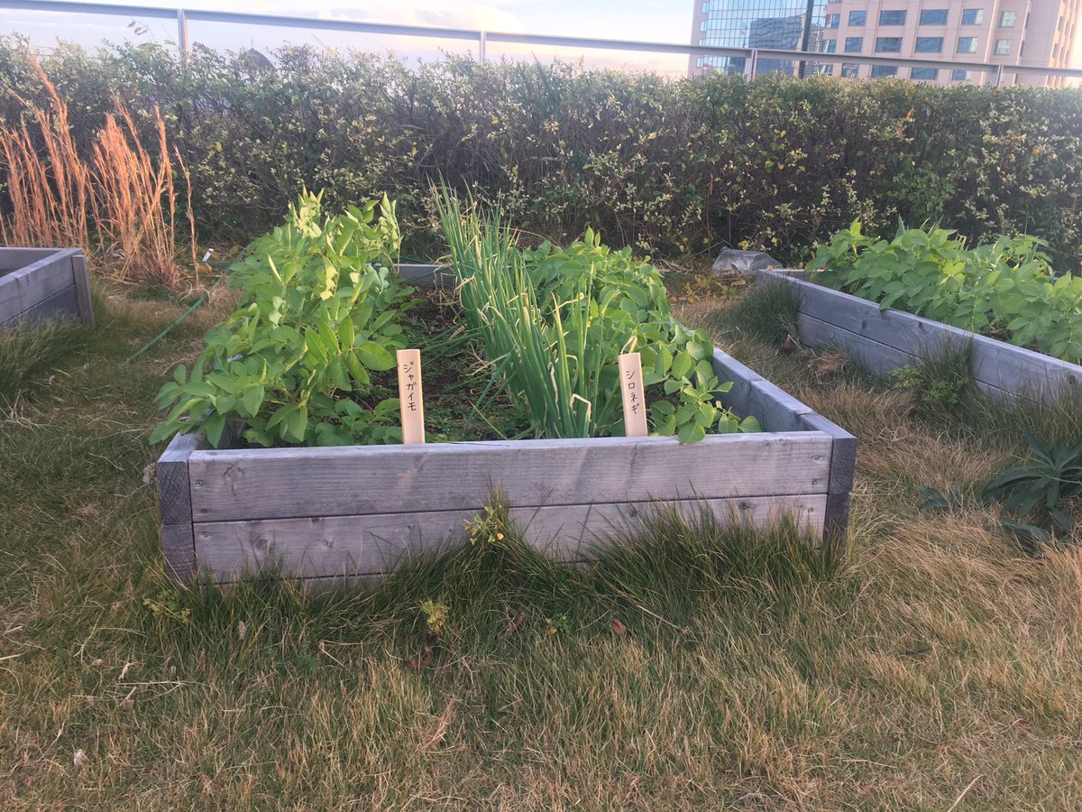 【ついに何が畑に植えられているか一目でわかるようになった！】