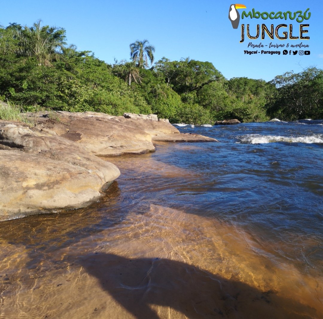 mbocaruzu's tweet photo. . 🏚️Posada turística🏞️
.
.
.🌳 #MbocaruzúJungle 🦉
.🛣️Ybycuí - Paraguay 🇵🇾
. 🏕️ Turismo & aventura 🚴♂️
. 🕶️Relax y vegetación 🏵️
.📲 0981840 710
. #mbocaruzu #salto1 #ybycuí #paraguay #repost #aventura #travel #vegetación #descanso #travelphotography #tourism #tourist #FOTOS https://t.co/ANH7AUK3dT