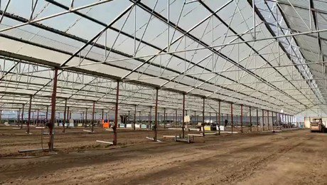 hortidaily's tweet image. High time to heighten the greenhouse @tcvddoolbv
hortidaily.com/article/905046…