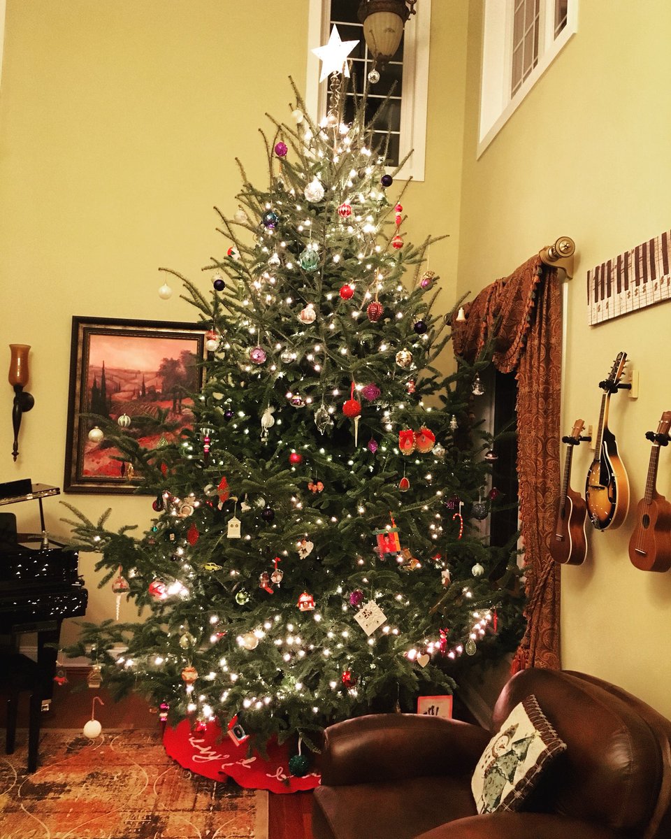 Carousel Village tweet media