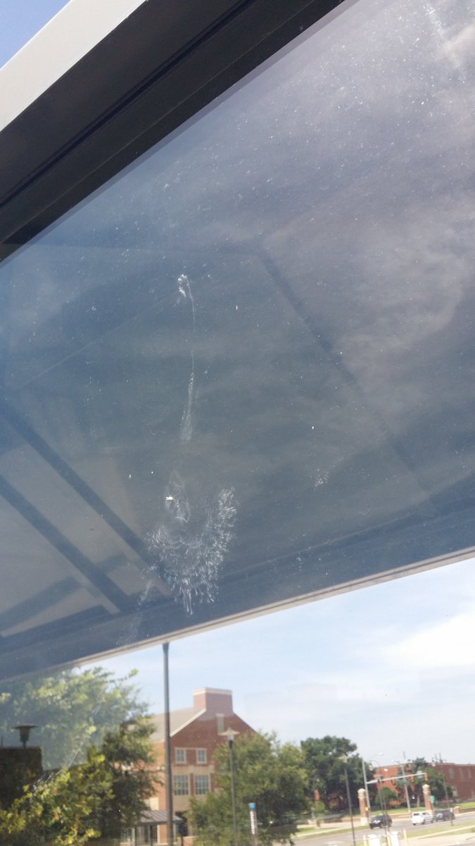 The Loss Lab is recruiting an MS student to lead the 1st before-after control-impact study of a window film designed to deter #birdcollisions. Grad position starts Fall '19 &amp; student would ideally begin fieldwork in Spring
wfscjobs.tamu.edu/jobs/ms-positi…
#urbanecology #birds #ornithology