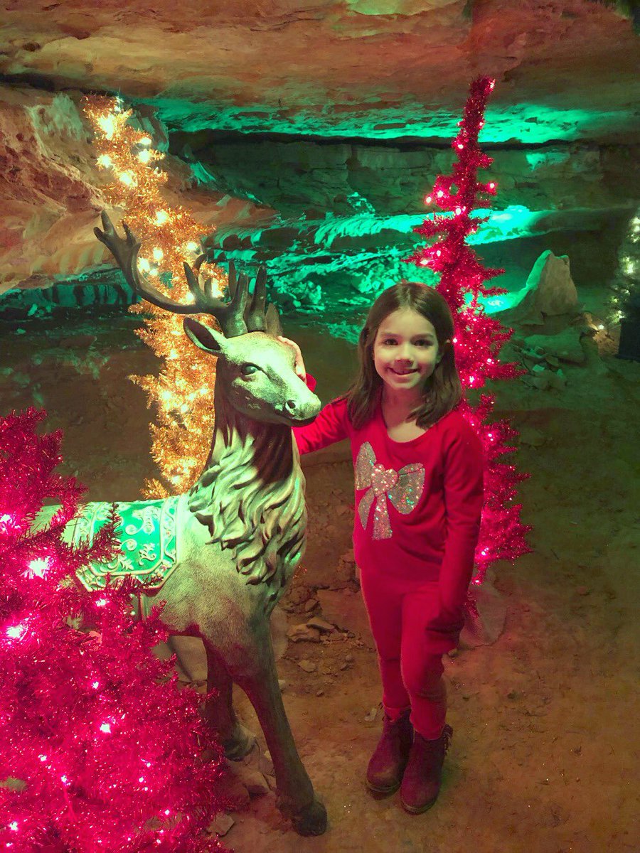 Tiffanyblogs's tweet photo. Loved our #christmasunderground experience at @seerubyfalls. Lots of great photo opps for the littles! #hosted https://t.co/lRD9g9c3iu