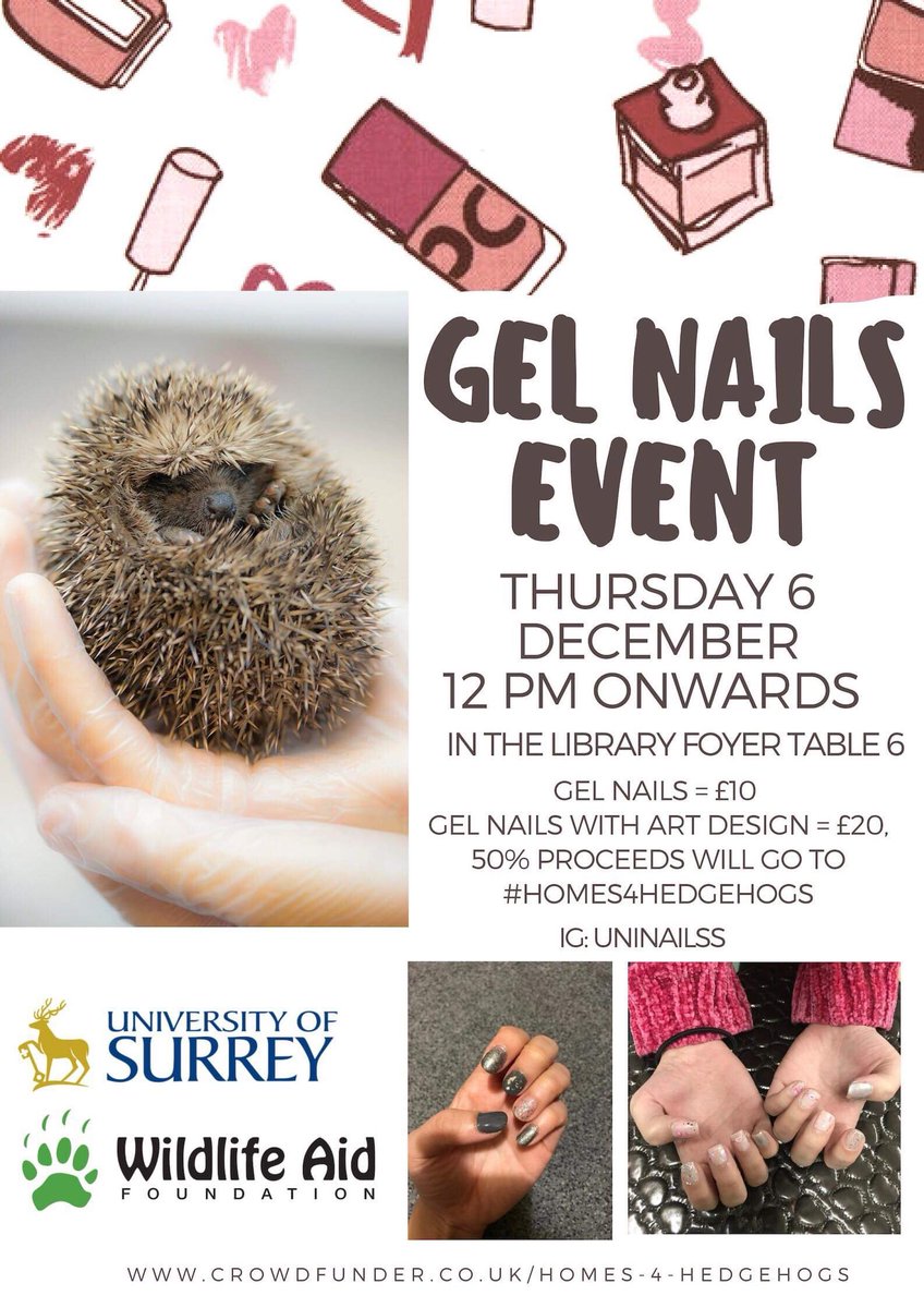 4_hedgehogs's tweet photo. @GaggleConnect All the nail paint 💅 lovers &amp; enthusiasts. Please come and see us the in library from 12pm on 6th December. Get your nails done all fancy while helping the cute hedgehogs get a shelter. Mark the date and be there. 🦔❤️#homes4hedgehogs #surreycrowd #gelnails https://t.co/AflwWNJZaG