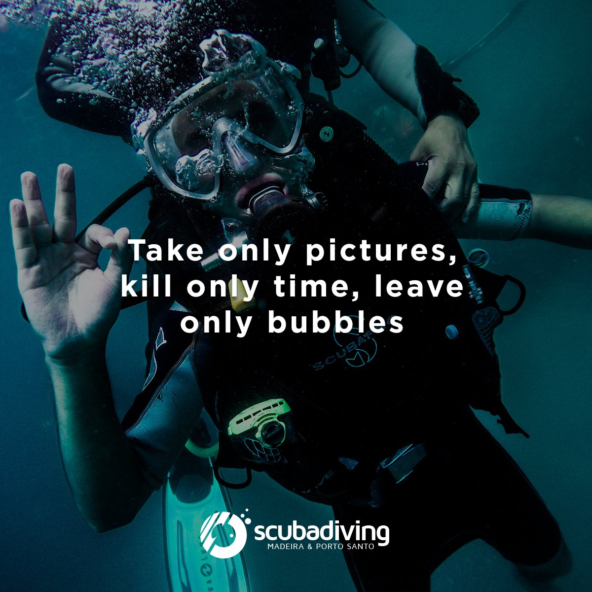ScubaDivingM's tweet photo. One of our mantras! Always respect the ocean.

#ScubaDiving #ScubaLife #Ocean https://t.co/Hh8pBchq4b