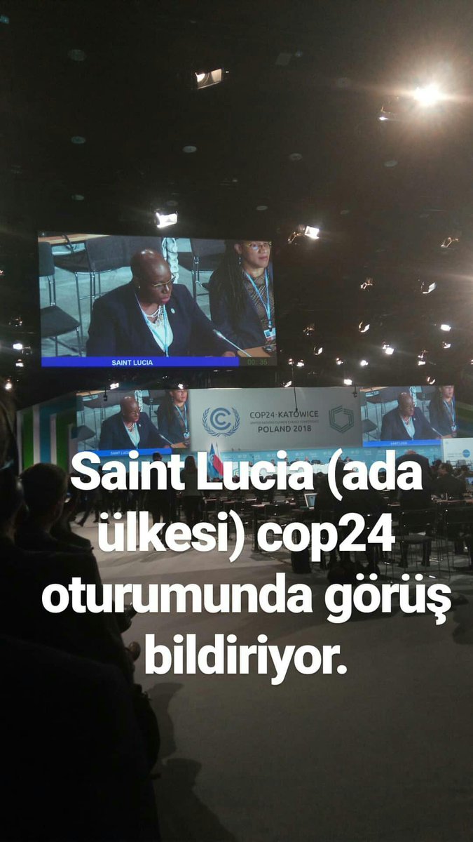 Doğancan Beşikci tweet media