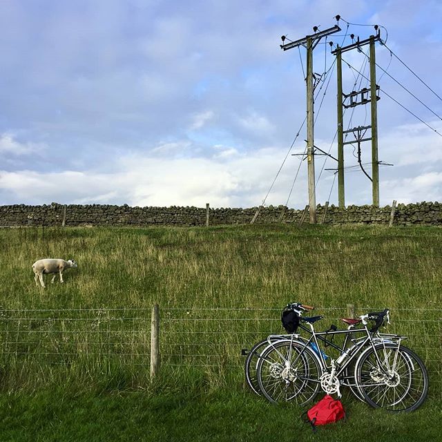 We open the shop one hour late at 12.00 tomorrow since we will be busy planning our future travels at the Pelago HQ the whole morning!

The adventure inspiring photo above is brought to you by the awesome @stavanger_fernweh 👋

#pelagobicycles #helsinki ift.tt/2PlqgCR