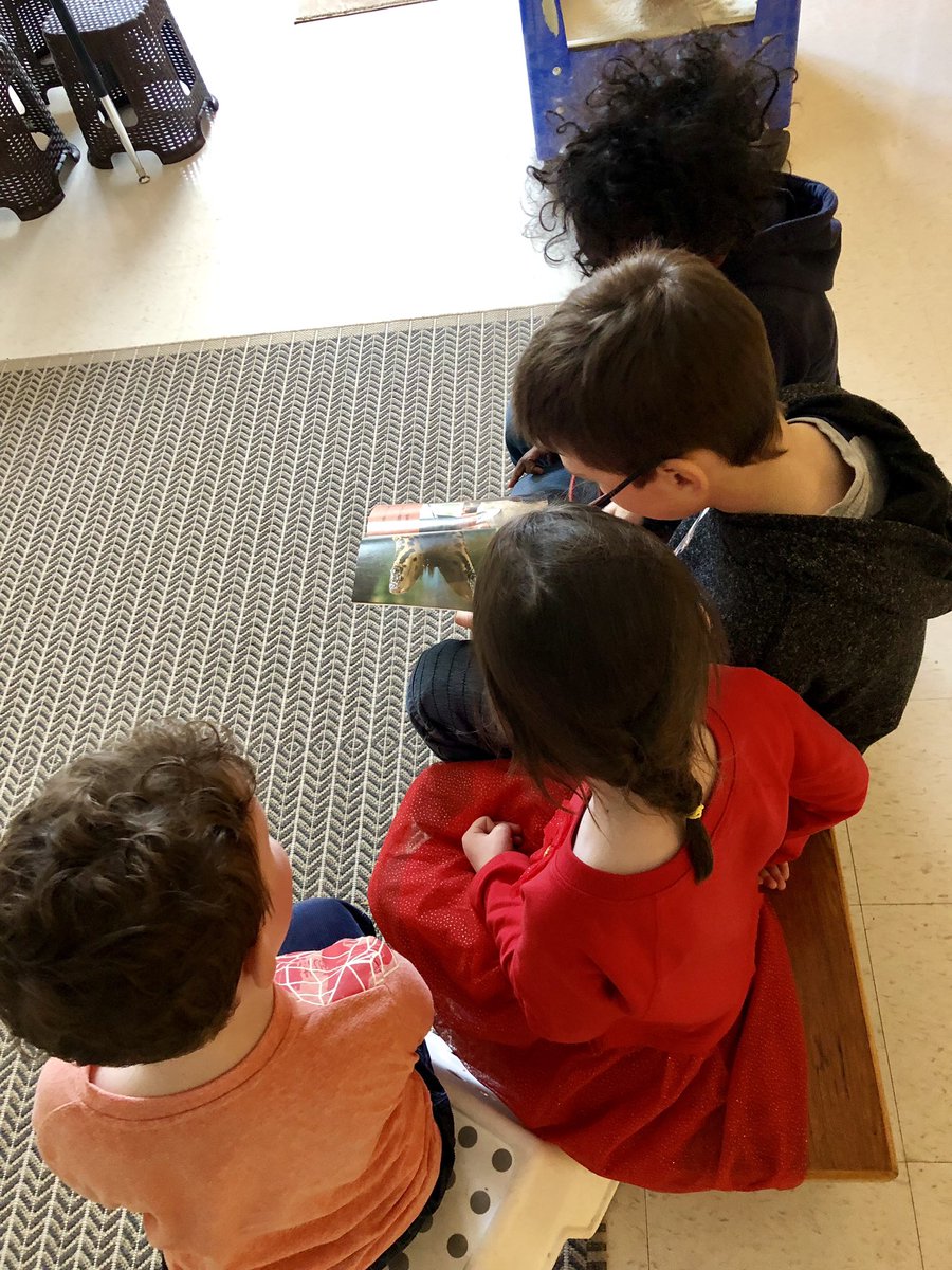 stsKinder's tweet photo. “Would you like me to read with you?” .. “can we join to hear the story?” #voicesofmchugh #buildingrelationships excited to read with a JR student this morning! #thisishowwesel @heatherteacher2 @MsTayCain @kelsi_ocsb @MsLindsaySteps @MarkWiebster @McHughEduCentre https://t.co/ZZYb6sfn9N