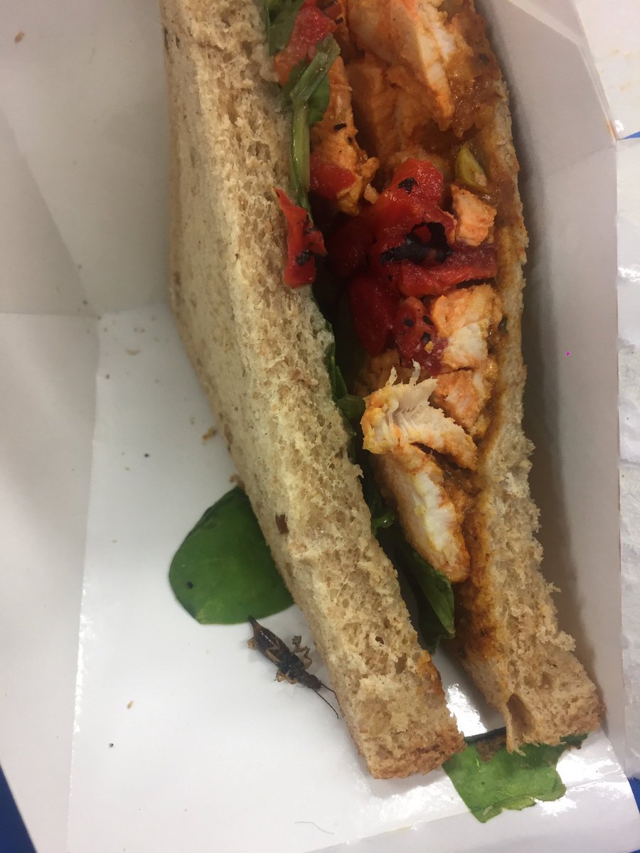 LaurenMavin's tweet photo. How disgusting is this! After eating half a sandwich and this disgusting bug falls out the bottom! This is the response I got from the one stop offering a £3.50 meal deal or the price equivalent!! @onestopstores sort it out, my husband could end up ill! @EnvHealthNews https://t.co/l06gzIblv6