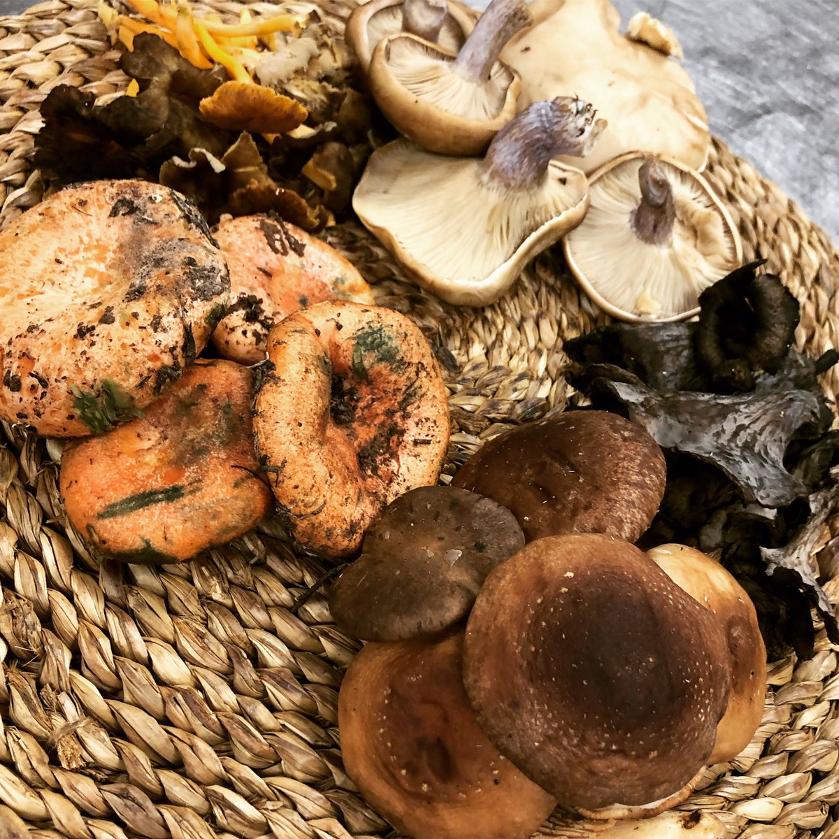 Setas... producto en <a href="/ElPradal/">ElPradal</a> #productodetemporada