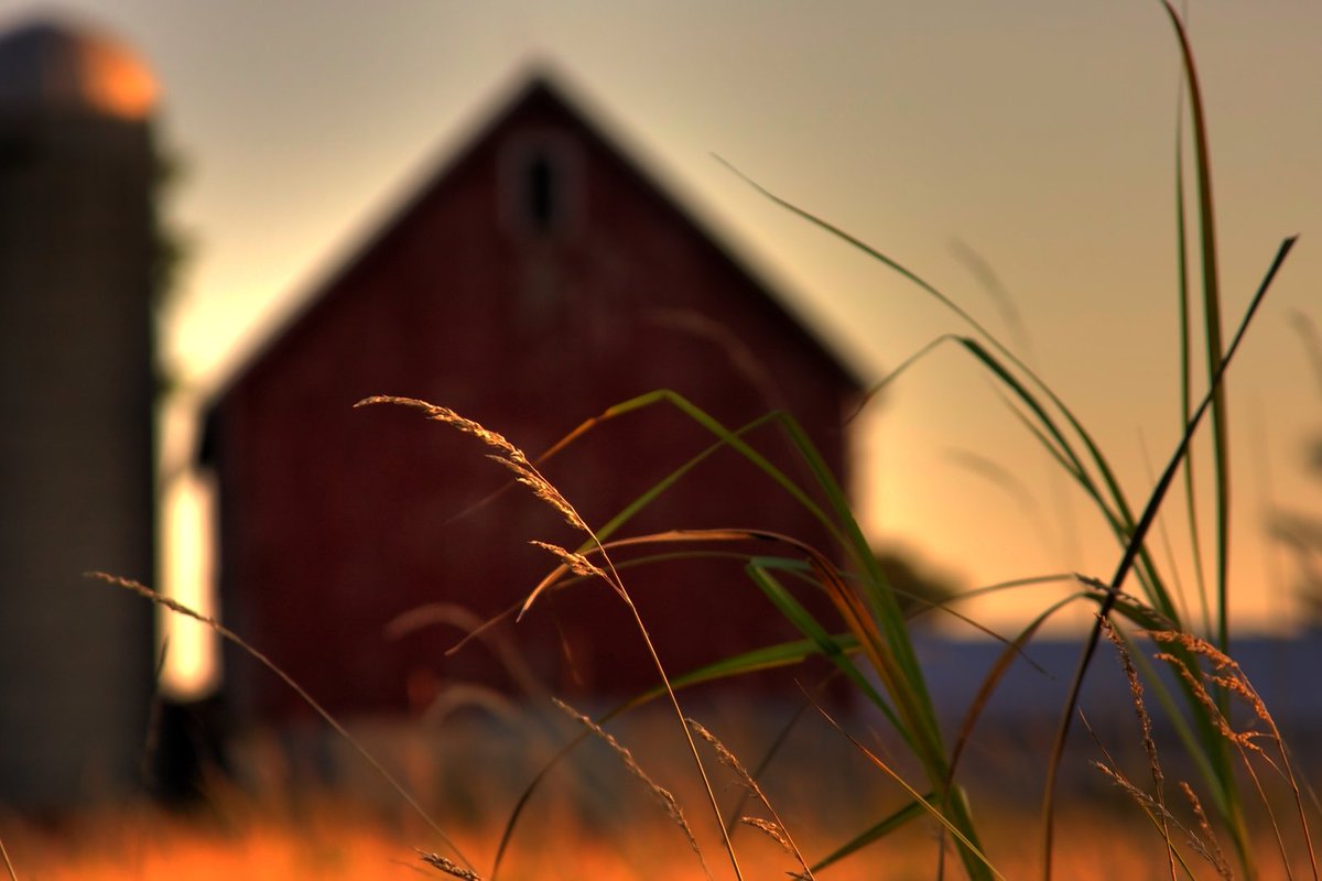 Since 2014, @MnAgriculture has worked with 680 MN farmers to enroll nearly 450K acres of farmland in the MN Agriculture Water Quality Certification Program, implement conservation practices, commit to sustainability, and build a #BetterMN. Read More: mn.gov/governor/newsr…