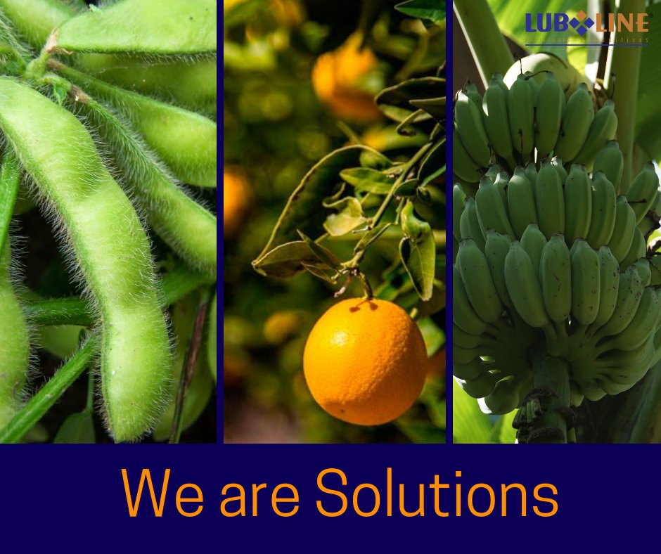 lublineusa's tweet photo. A combination of #HarvestOl Agricultural Oil and fungicides is
more efficient and effective in preventing plant disease than either used separately. In addition, this product is a safe mineral oil exhibiting low acute toxicity.
https://t.co/mJ2DRHEmug
#lubline #Ecofriendly https://t.co/PBxgOPHdsL