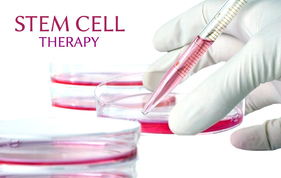 Stem Cell Innovations tweet media