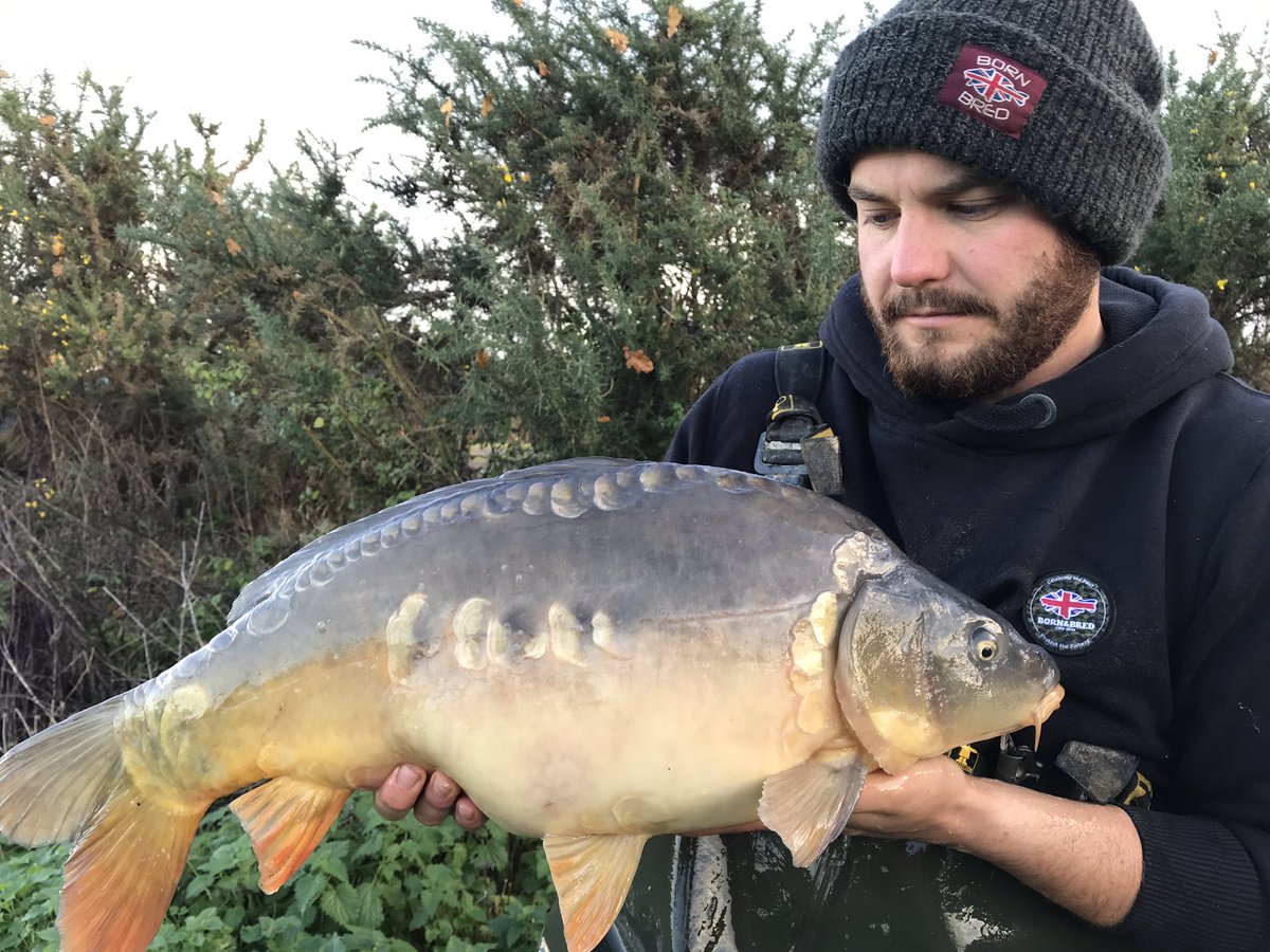 Some cracking 4 summer fish still available for delivery this winter. Give us a call on 07843306661 for more details #carp #vsfisheries