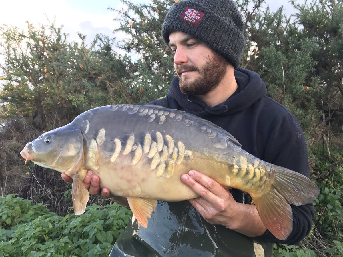 VS Fisheries tweet media