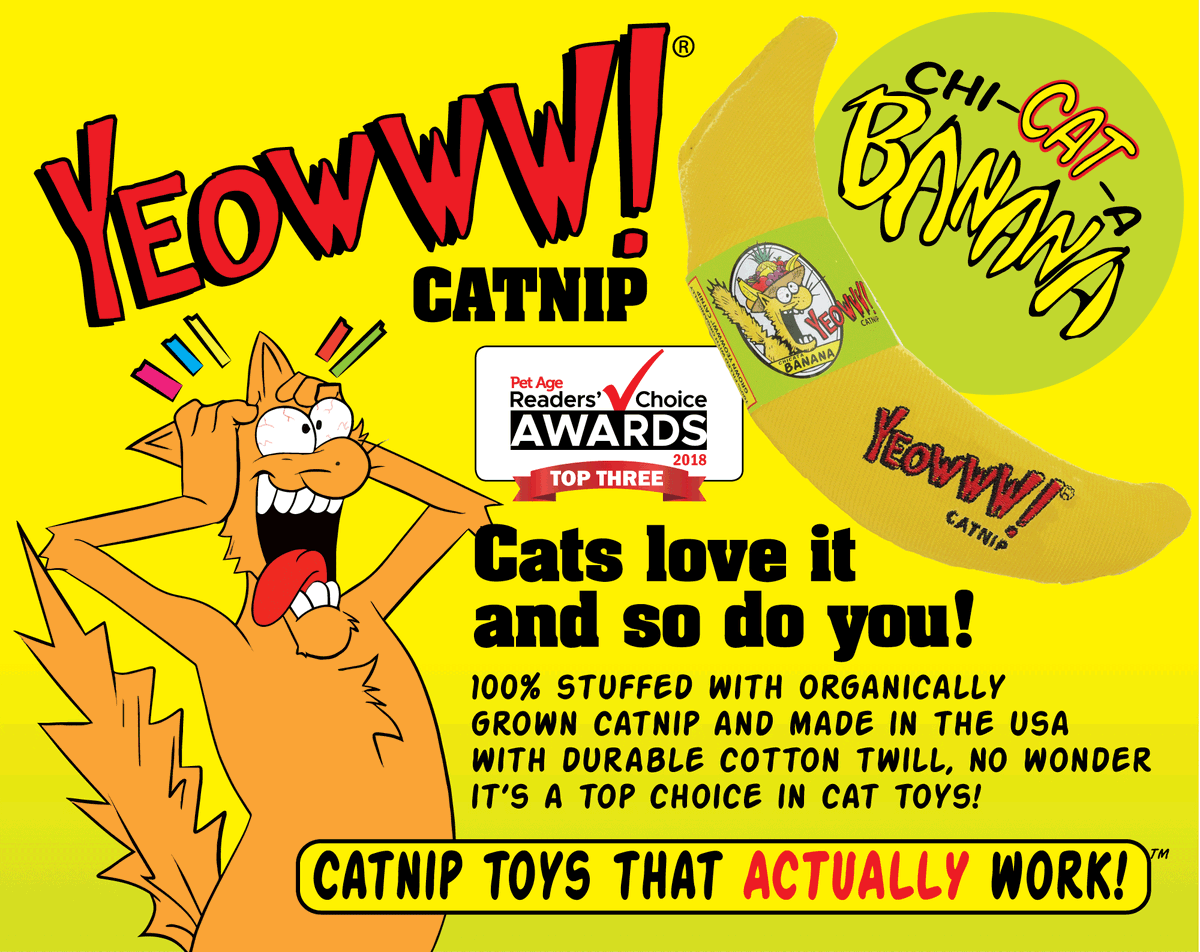 YeowwwCatnip's tweet photo. We're honored to announce that our Cha-CAT-a Banana received a 2018 Reader's Choice Award by @PetAgeMag 🙀🍌 If your catnip toys don't say "Yeowww!" what makes you think your cat will?
#yeowwwcatnip #catnipbanana #petindustry #petproducts #cattoys https://t.co/FGmfaflmkI