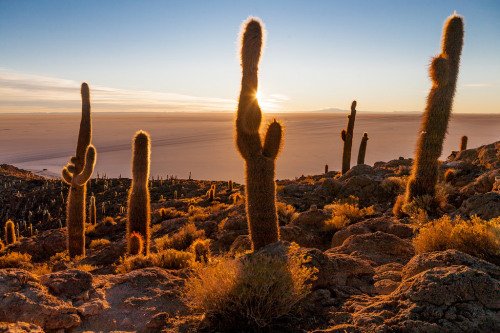 sandeepa's tweet photo. Sunrise at Salar de Uyuni, Bolivia
An early morning start from... https://t.co/5H7PlUrAKI #RTWSC #latam #travel #rtw #ttot https://t.co/atnBFmKq20